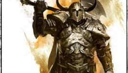 Is the Chinese MMO market ready for Guild Wars 2?