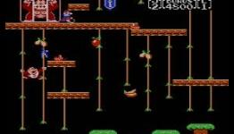 Pocket Gamer: Donkey Kong Jr. Review