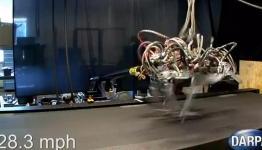 Cheetah Robot Outruns Usain Bolt