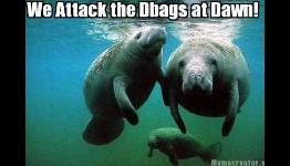 D Pad D Bags Podcast Episode 107 – Jenna ElfManatee