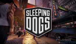 Sleeping Dogs Review | Gamer Sector