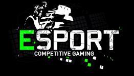 Professional Gaming – A New Era of Sport?