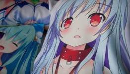 5 Reasons Why Everyone Should Own a Dakimakura