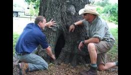 D Pad D Bags Podcast Episode 108 – Does John Look Like an Arborist?