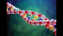 DNA could be used to generate a picture of your face