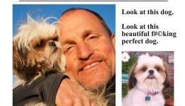 The Seven Pyschopaths Viral Has Gone to the Dogs