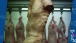 Capcom Hosts Human Meat Merchant Stands in London