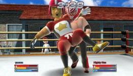 Fire Pro Wrestling review – GameZone