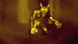 Is Survivors the next Slender?