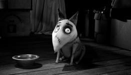 HEAVEmedia Review: Frankenweenie