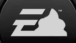 Electronic Arts in the contemporary: Sports and snake oil