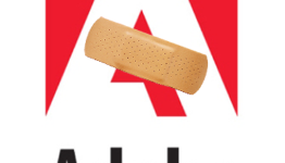 Adobe Plugs 25 Holes in Flash Player