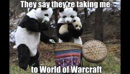 Tips for Mists of Pandaria