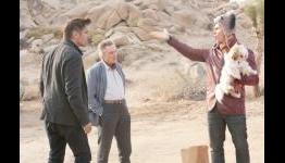 Seven Psychopaths Review | Player Affinity