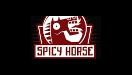 TheParanoidGamer: Interview with Spicy Horse Games
