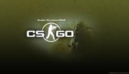 Counter – Strike: Global Offensive Video Review | Nerd Array