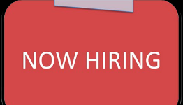 Help LightBox Interactive Employees Find Work