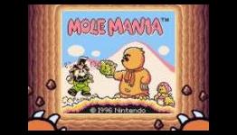 Mole Mania Game Boy Review – Cubed3