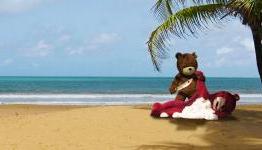 CGM Reviews: Naughty Bear: Panic in Paradise