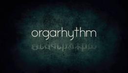 8bitfix Review – Orgarhythm