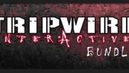 Tripwire Interactive Bundle: 75% Off Five Games