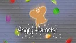 Consolebits.com Review: Angry Hamster iOS