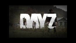 DayZ Bounty. Earn your money killing zombies and more
