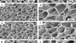 How Proton Transistors Can Help Many Live A Normal Life