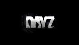 Pixel Judge: DayZ Standalone Gets Engine Details Outlined