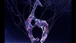 Review: Resident Evil 6 [Press2Reset]
