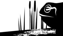 The Unfinished Swan (PS3) – AATG’s Review