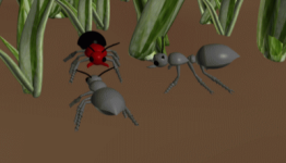 Christmas Comes Early In The ‘Amazing Ants’ Sale