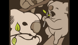 Get Involved With The Crunching Koalas Beta Program