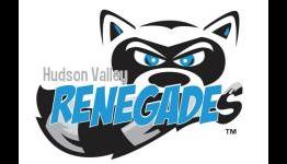 Sly Cooper inspired Baseball Team