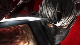 Ninja Gaiden: Looking Forward
