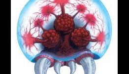 10th anniversary of “Metroid Day”