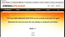 Megaupload Assisted U.S. Prosecution of Smaller File-Sharing Service