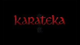 Original Gamer Review – Karateka