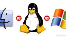 Ubuntu is still half baked. It cannot replace Windows or OS X!