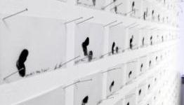 Every gesture required to beat Angry Birds transformed into modern art