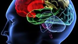 Videogame Addiction Study Finds Evidence of a Phenomenon Seen in Drug and Alcohol Addicts