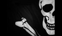 Pirates who pay: do illegal downloads actually help the box office?