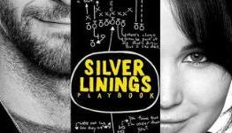 Silver Linings Playbook I Games Fiends Review