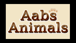 Aabs Animals  Trophy List