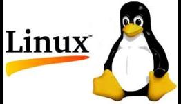 Linus Torvalds Delays Linux 3.7, Pushes Out New Release Candidate Instead