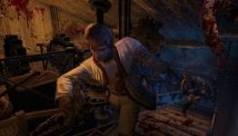 Afterfall Insanity Extended Edition Review | Leviathyn