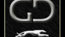 Interview With Adam Ryland of Grey Dog Software