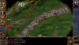 TouchGen: Baldur’s Gate Enhanced Edition Review