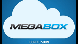 Dotcom’s Megabox to Launch “A Few Months” After Mega