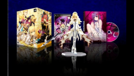 Rumor: Fate/Extra CCC Delayed Yet Again